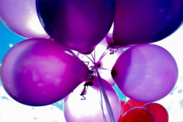 גלרייה דוגמה